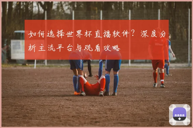 如何选择世界杯直播软件？深度分析主流平台与观看攻略
