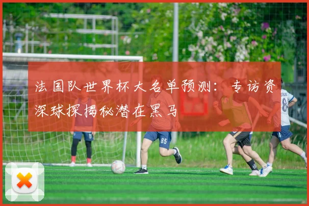 法国队世界杯大名单预测：专访资深球探揭秘潜在黑马
