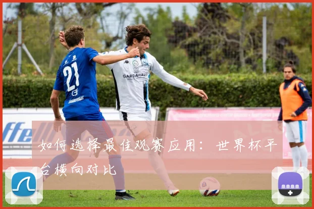 如何选择最佳观赛应用：世界杯平台横向对比