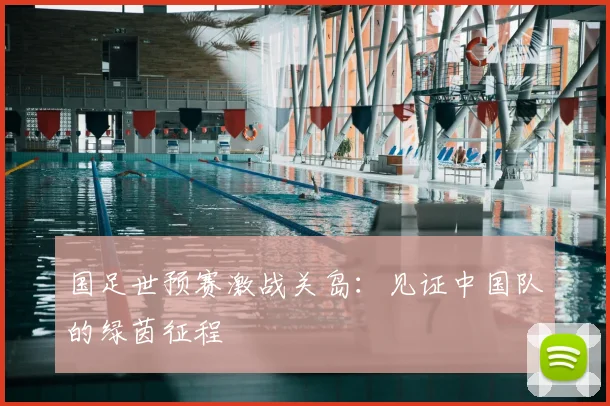 国足世预赛激战关岛：见证中国队的绿茵征程