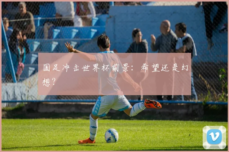 国足冲击世界杯前景：希望还是幻想？