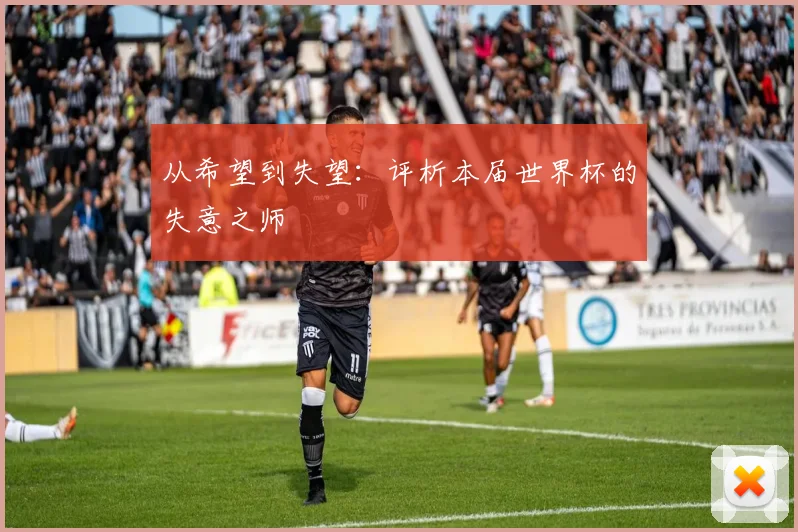 从希望到失望：评析本届世界杯的失意之师