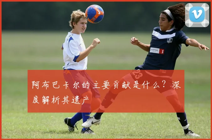 阿布巴卡尔的主要贡献是什么？深度解析其遗产
